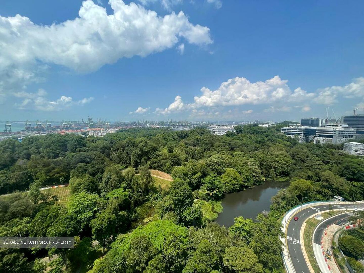Normanton Park (D5), Apartment #498743651